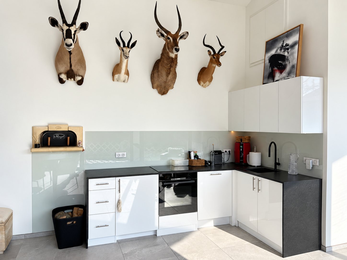 Cuisine d'angle moderne aux meubles blancs laqués et plan de travail noir, surmontée de quatre trophées d'antilopes accrochés au mur blanc.