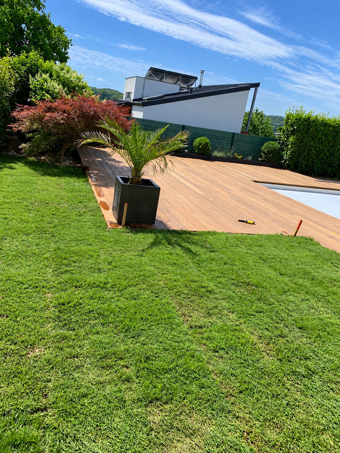 Une terrasse en bois fraîchement posée longe une piscine, avec un palmier en pot noir et une pelouse verte devant une maison moderne.